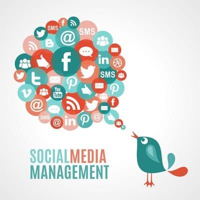 Social Media Management from Your Web Pro LLC in Lubbock