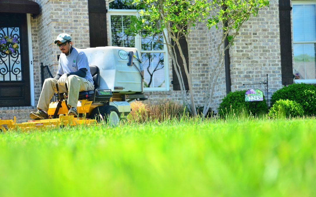 Harnessing the Power of Social Media for Your Landscaping Business