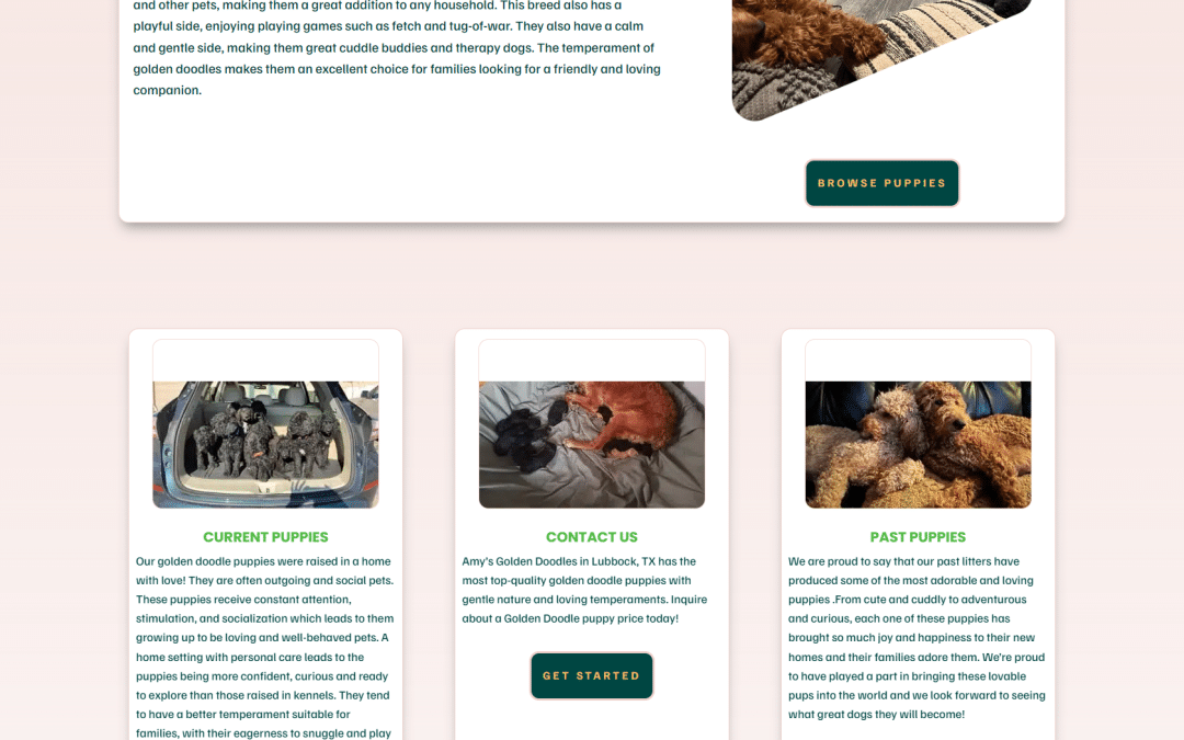 Why Amys Golden Doodles’ New Website Gets a Paws Up from Golden Doodle Lovers!