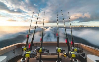 The Importance of Local Listings for Fishing Guides