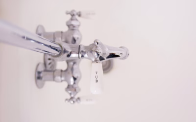 From Clicks to Calls: Maximizing Leads for Lubbock Plumbers Through Digital Advertising