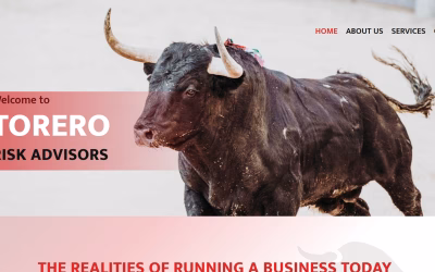 Securing the Digital Frontier: Your Web Pro Launches Torero Risk Advisors