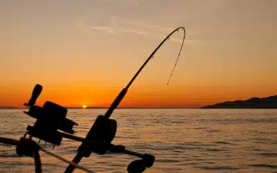 Catching Clients: Running Targeted Ads for Fishing Trips Around Lubbock and Odessa