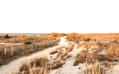 Building Trust Through Local Visuals: Why Your Corpus Christi HVAC Site Needs a “Local” Look