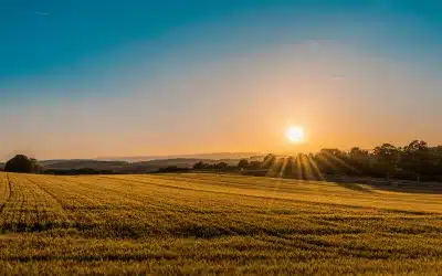 From Heatwaves to Northers: Why Abilene HVAC Sites Need a Seasonal Edge