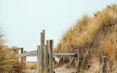 Mobile-First Design: Why the Coastal Bend Books HVAC on the Go