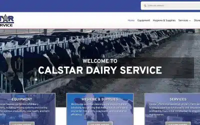 How We Built a Custom Digital Presence for CalStar Dairy Service