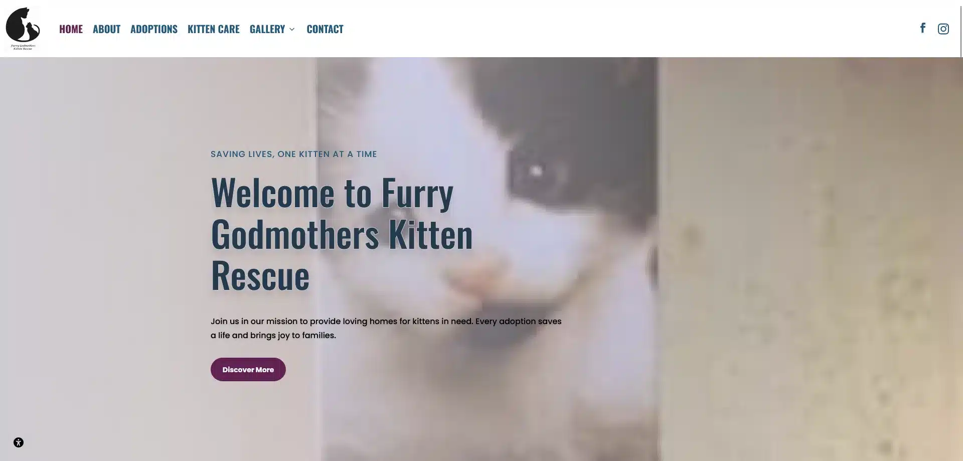 Furry-Godmothers-Kitten-Rescue-Give-Kittens-a-Future New Website